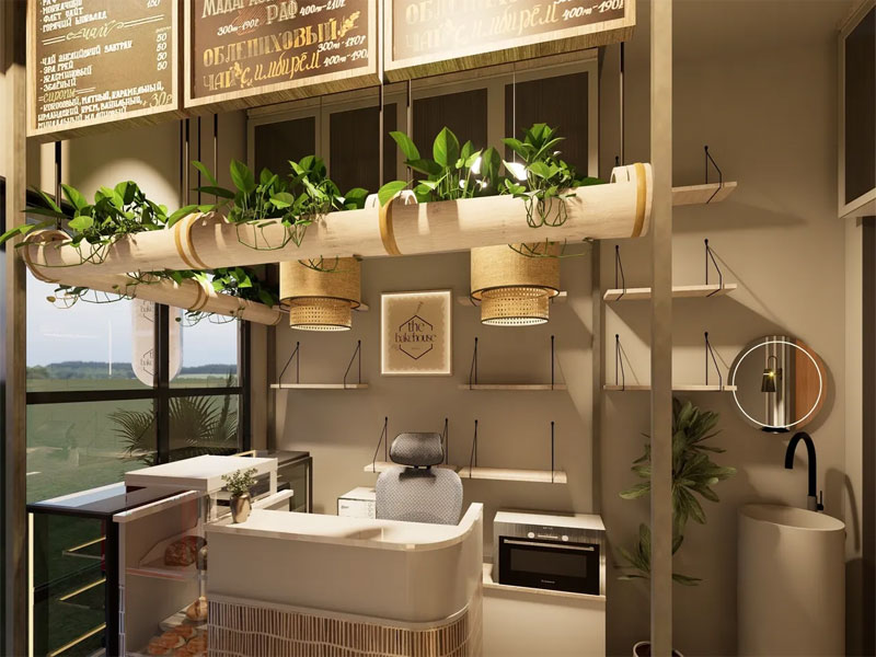 The Elevation Architects