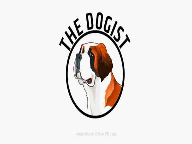 The Dogist Dog Shop