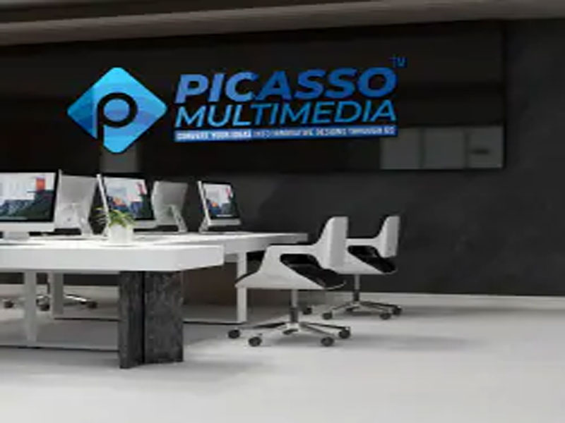 Picasso Multimedia